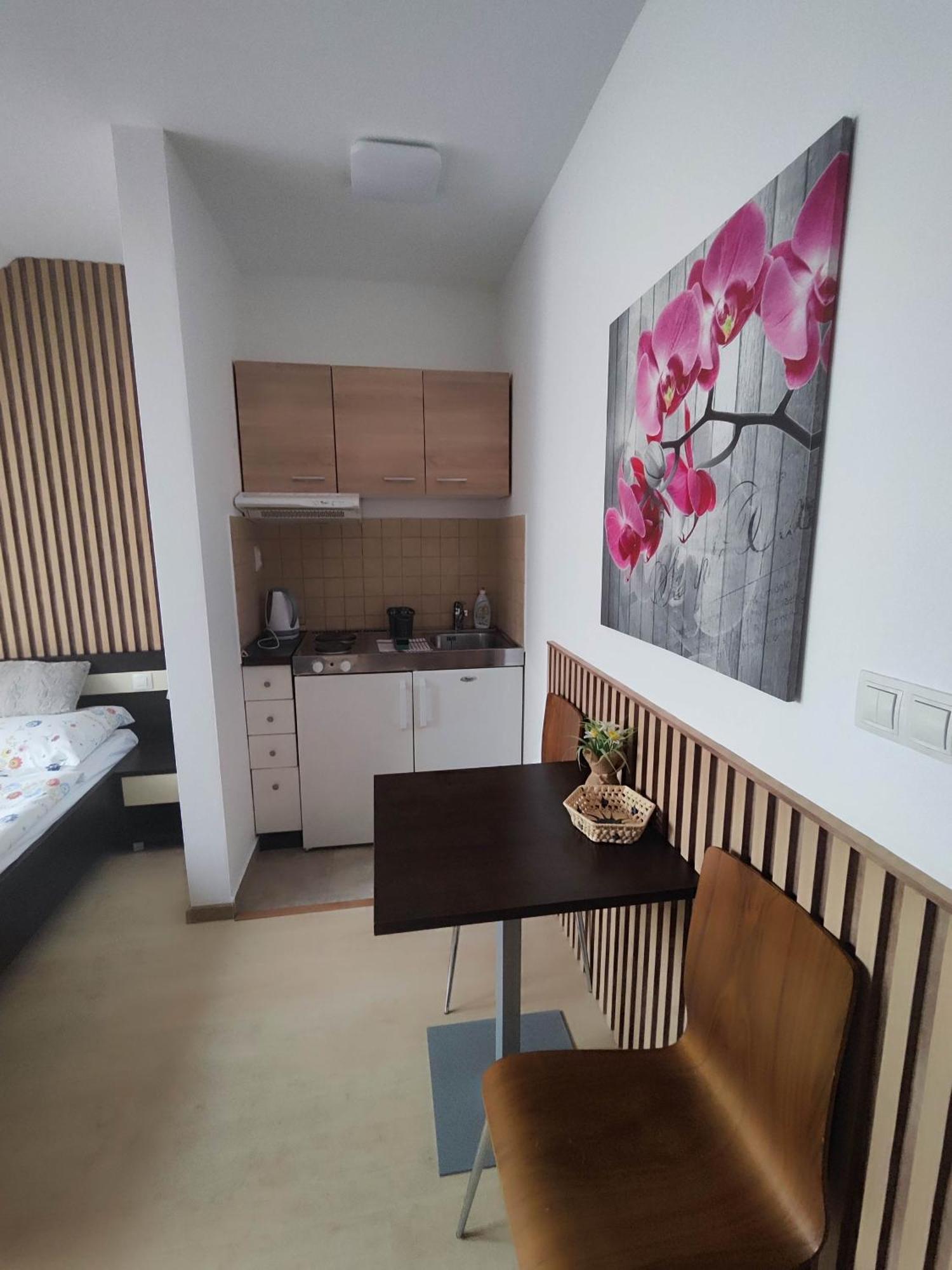 Apartman Pohoda Бешенёва Экстерьер фото